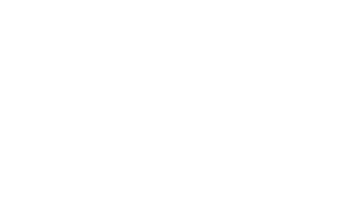 Logo RINA